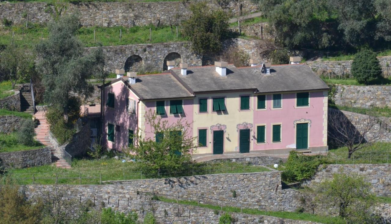 Villa Olivari - Apt La Salvia San Rocco  Exterior foto